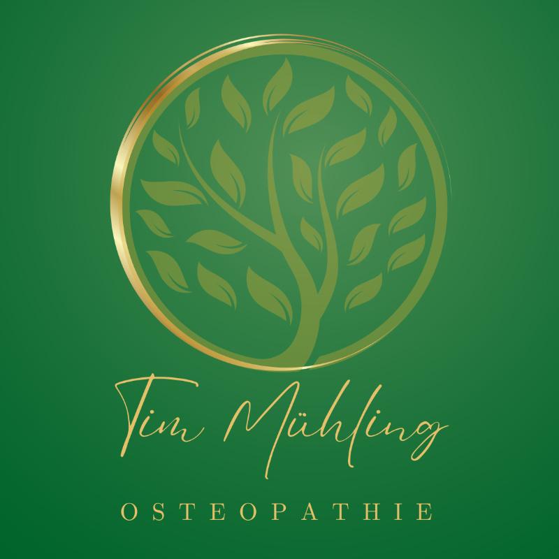 Logo Tim Muehling